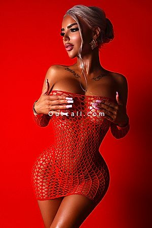 ️Porno-Stars Niki - Dubai Escorts